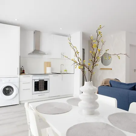 Modern Comfort In The Heart Of La Laguna Apartment *